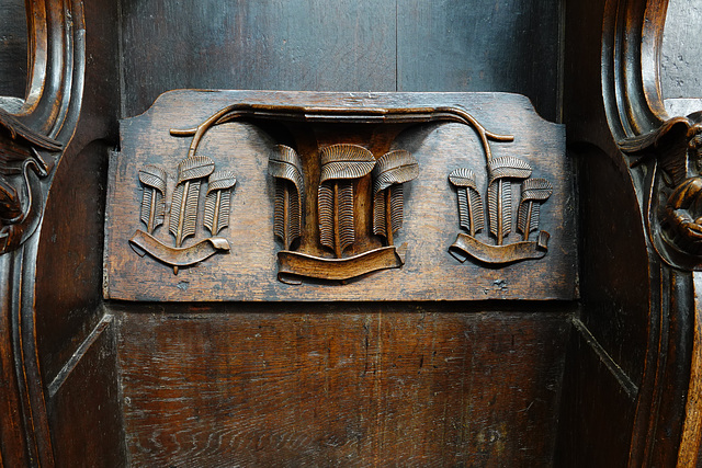 N08 Misericord