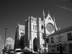 Arundel Cathedral