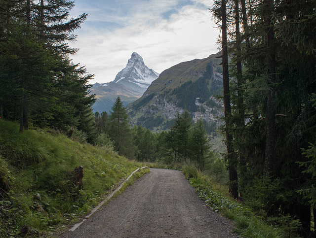 PROJEKT RIEDWEG MEMORY 2017