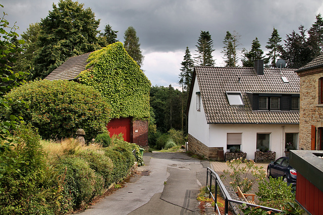 Am Langenkamp (Herdecke-Ende) / 1.08.2022