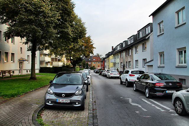 Brunostraße (Gelsenkirchen-Bismarck) / 30.09.2023