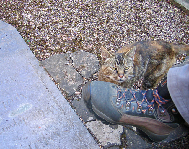 Friend for lunch at the Church of St Peter at Elford