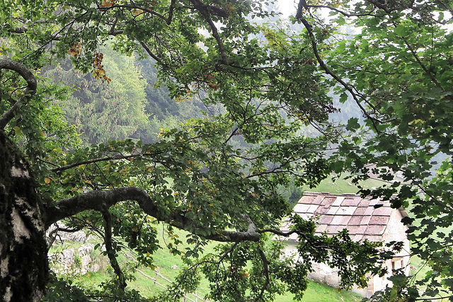 L'autunno può aspettare...