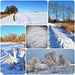 Winterimpressionen