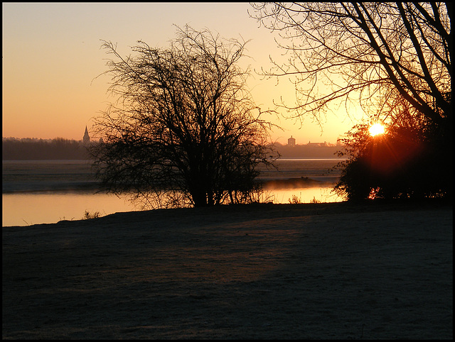 rosy winter dawn