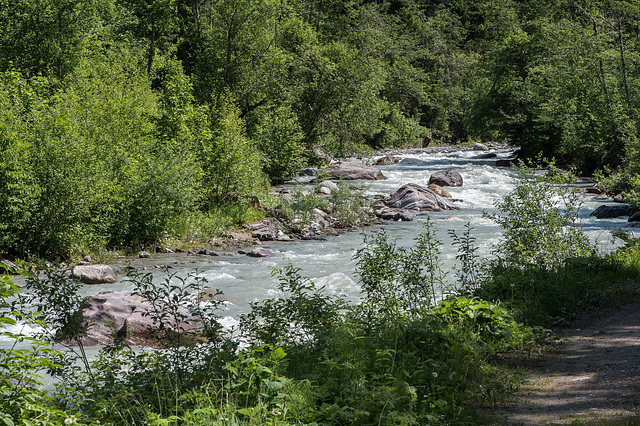 Landwasser und Wanderweg entlang des Flusses - 2015-06-12--D4 DSC2498