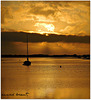 l'or du soir
