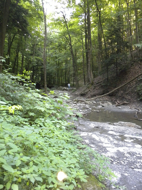 Tinkers Falls trail