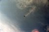 Eagle keeping watch