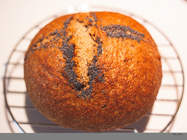 Sourdough wholemeal loaf