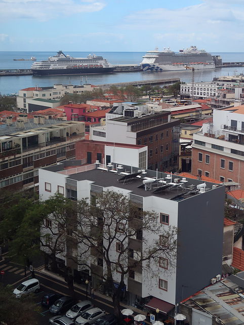 Cruise ships in the harbour