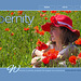 ipernity homepage with #1558