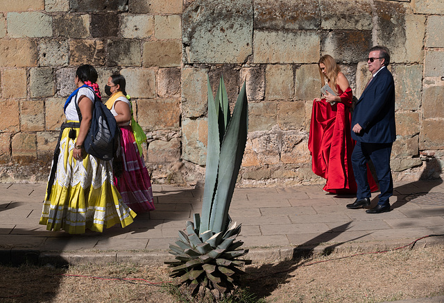 Oaxaca Mexico - 2023