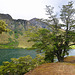 Moke Lake, New Zealand