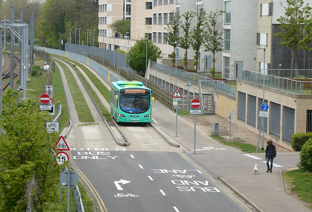 Stagecoach East 21310 (BF65 WKZ) on the Cambridgeshire Guided Busway - 22 Apr 2024 (P1180004)