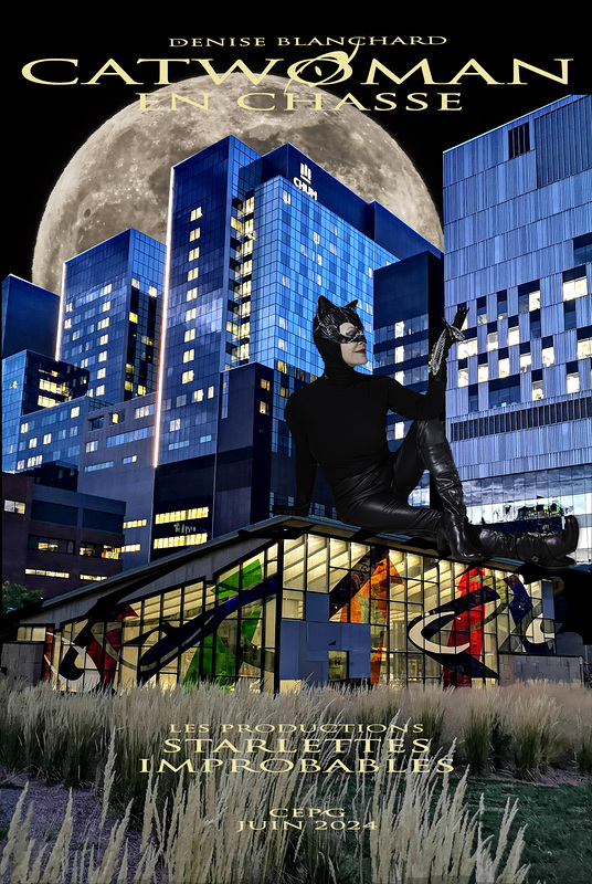 Catwoman revisitée v6.0 IMG185553
