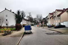 Lohackerstraße (Wattenscheid-Westenfeld) / 17.02.2024