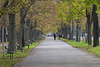 HBM~ A walk through Vienna’s Prater Park