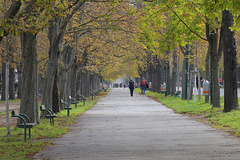 HBM~ A walk through Vienna’s Prater Park