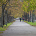 HBM~ A walk through Vienna’s Prater Park