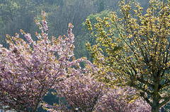 Printemps normand