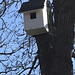 Bird house