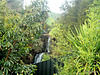 Waterfall Above Jones Landing