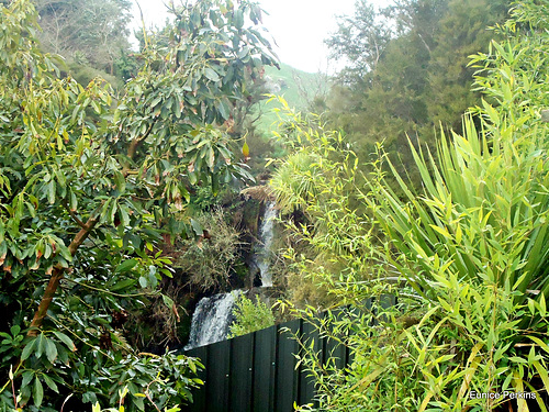 Waterfall Above Jones Landing