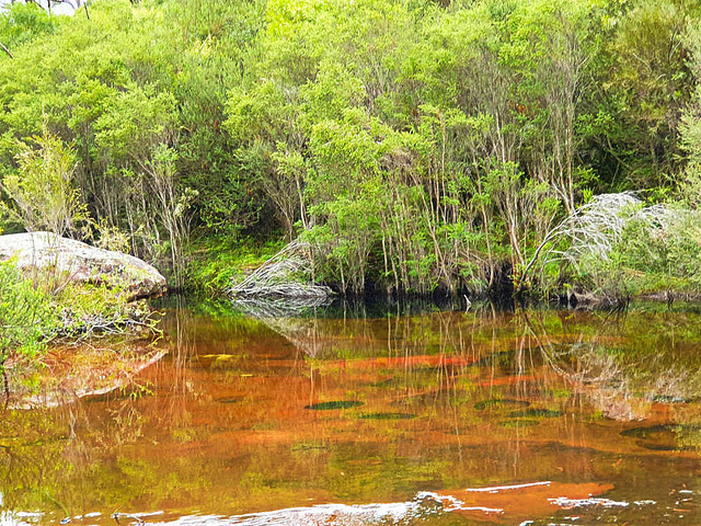 Pool of the Gods, Gerringong Falls