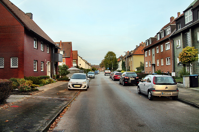 Am Feldbusch (Gelsenkirchen-Bismarck) / 30.09.2023