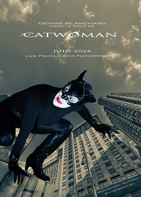 Catwoman revisitée v4.0 IMGP0216