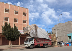 Une grosse prise insolite au filet ! Une grosse prise insolite au filet !