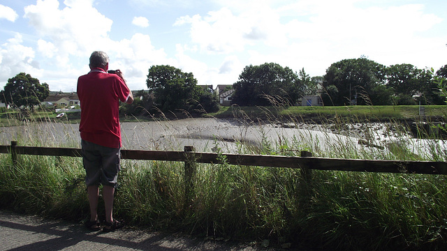 Mickey spotted an egret