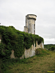 le chateau de TAILLEBOURG le chateau de TAILLEBOURG