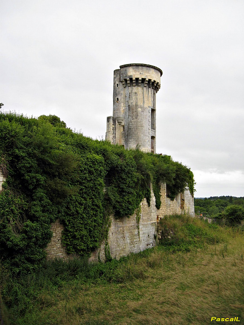 le chateau de TAILLEBOURG