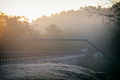 Forêt de Fontainebleau