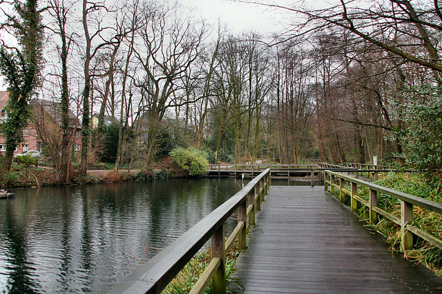 Steg im Hüttenteich (Oberhausen-Klosterhardt) / 20.01.2018