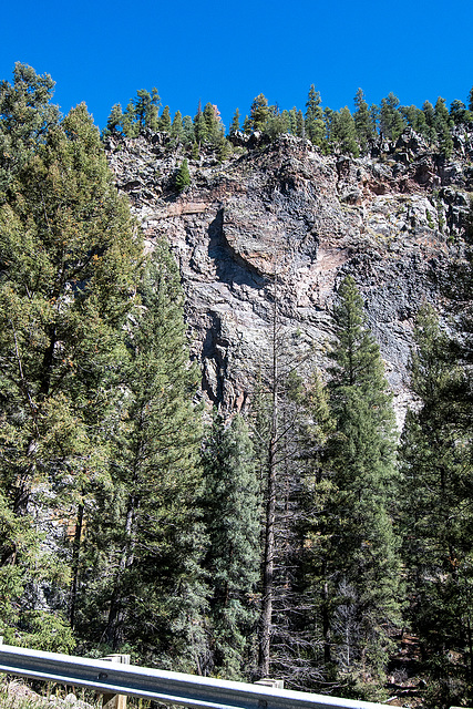 Scenery on the road to Valles caldera