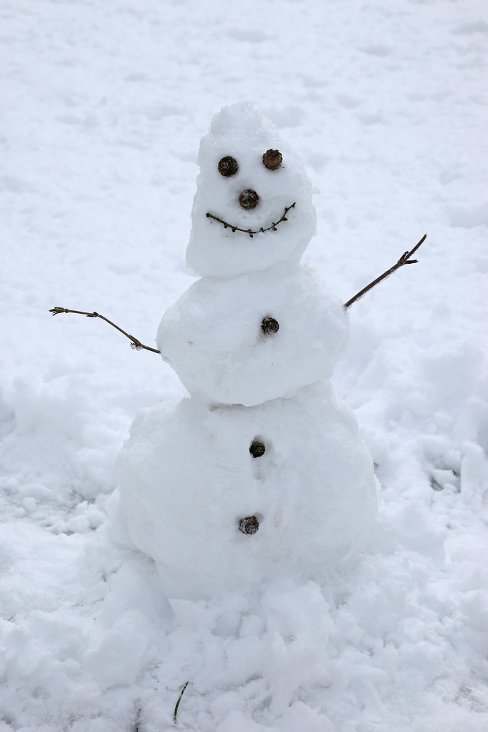 Der kleine Schneemann an der Lärche