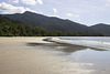 Daintree National Park, Queensland