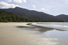 Daintree National Park, Queensland