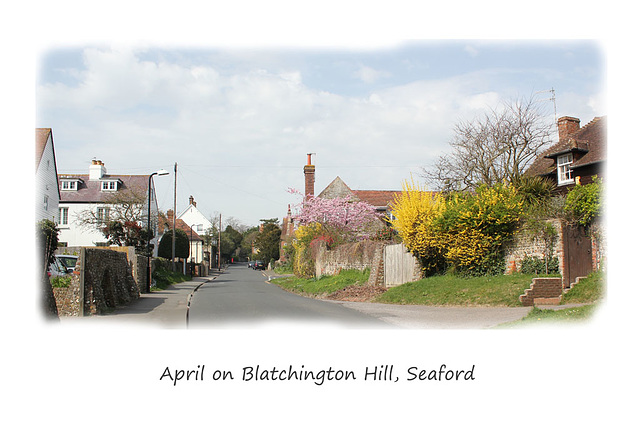 Blatchington Hill, Seaford, 10.4.2015