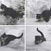 Bastian fighting the snow