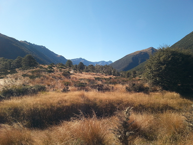 Sth Island New Zealand