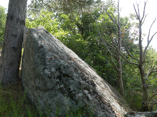 20180818 Rando solo Col de l'Hombre (Cevennes) (34) al