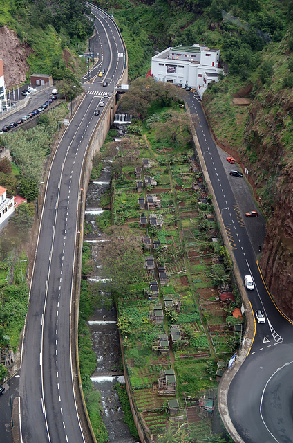 Road, levada, allotments, road