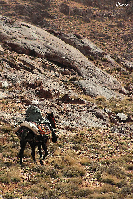 Maroc