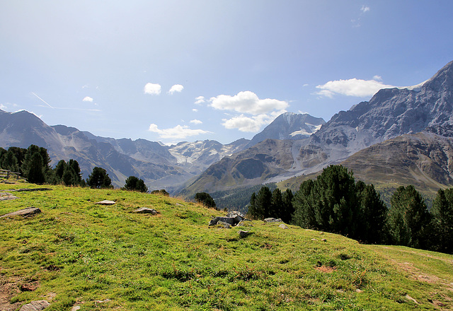 Blick von der Kälberalm in den Suldener Talschluss (3 Notes)