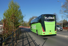 HFF: Simonds of Botesdale (Flixbus contractor) 418 (YK25 OME) in Thetford - 17 Apr 2025 (P1200805)