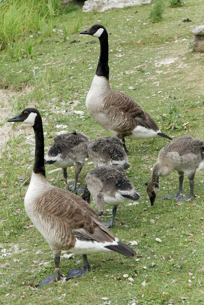 Un dimanche en famille